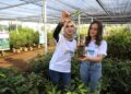 BNI Siap Showcasing di AIPF, Target Rp62,9 Triliun Portofolio Hijau