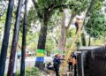 PLN Icon Plus – Pemkot Bandung Tata Ulang Kabel Udara