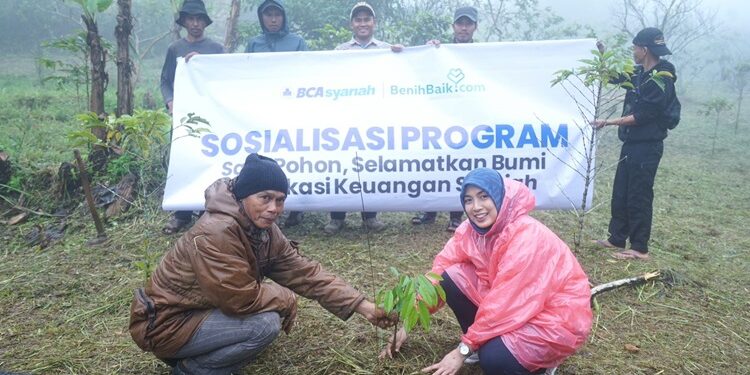 Peduli Lingkungan, BCA Syariah Tanam 1.000 Bibit Durian di Bogor