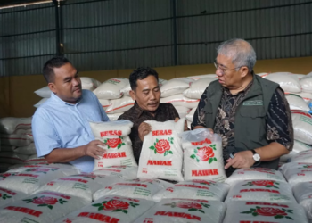 Panen Sudah Tiba, Dirut Bulog: Dua Minggu Lagi Harga Beras Normal