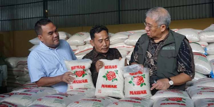 Panen Sudah Tiba, Dirut Bulog: Dua Minggu Lagi Harga Beras Normal