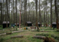 Bobocabin Dapat Securities Crowdfunding Bangun Wisata Desa Dieng