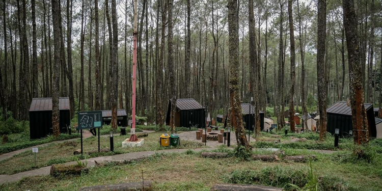 Bobocabin Dapat Securities Crowdfunding Bangun Wisata Desa Dieng