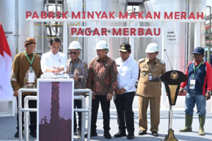 Minyak Makan Merah