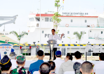 Presiden Jokowi Pastikan Mobilitas dan Ekonomi di Sulteng Melonjak