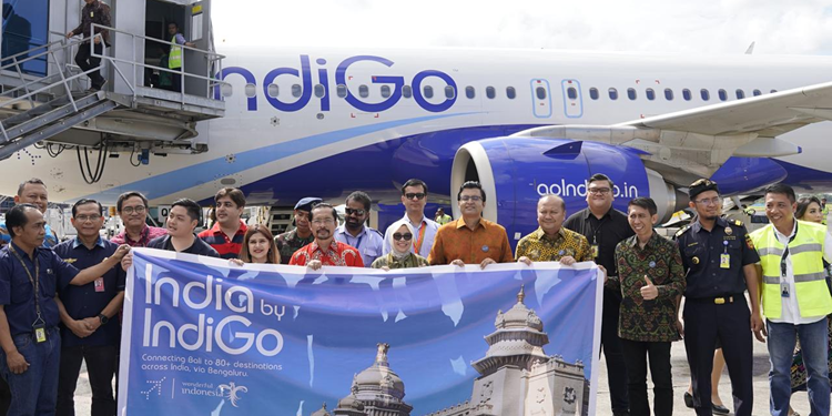 IndiGo Airline