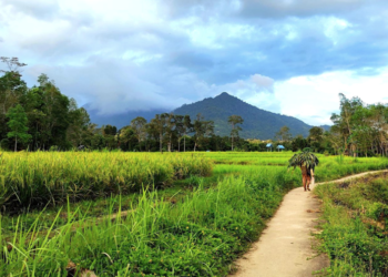Presiden Jokowi Dorong Pengembangan Desa Wisata di Sekitar IKN