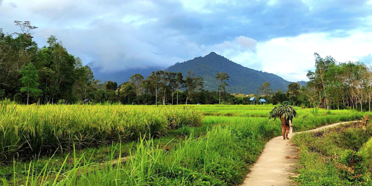 Presiden Jokowi Dorong Pengembangan Desa Wisata di Sekitar IKN