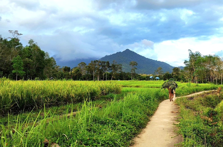 Desa Wisata (Foto: Jakartadaily.id/Pool/Dok. Kemenparekraf)