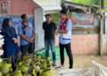 Gawat! Pasokan LPG 3 Kg di Pulau Sumbawa Kurang?