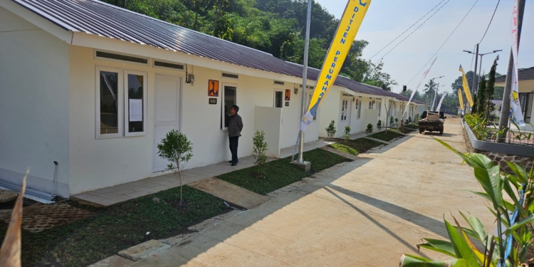 Propan Luncurkan Cat Atap Logam Tanpa Primer