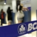 BCA Konsisten Dukung Ekonomi Hijau