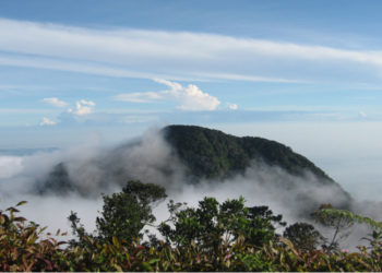 Tempat Wisata yang Banyak Dikunjungi di Wilayah Bogor