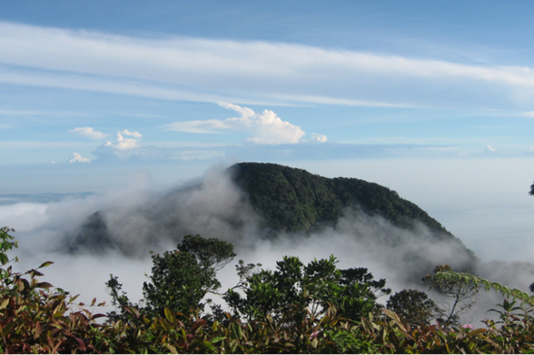 Gunung Salak, menjadi salah satu empat wisata yang banyak dikunjungi di wilayah Bogor. (Foto:  Dok. Urbancity.co.id)