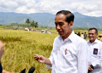 Hari Pertama Idul Fitri 1445 H, Jokowi Open House di Istana Negara