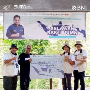 Rehabilitasi Orangutan dan Mangrove