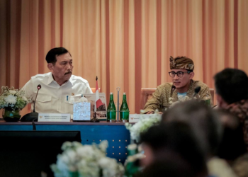 Lakukan Relaksasi Kebijakan, Dorong Pengayaan Paket Wisata Kapal Pesiar