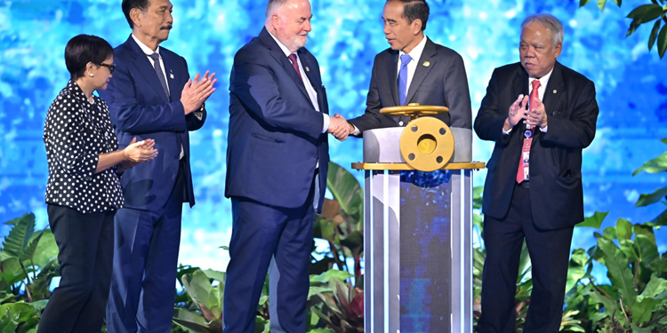 Jokowi Ajak Dunia Wujudkan Tata Kelola Air yang Berkelanjutan