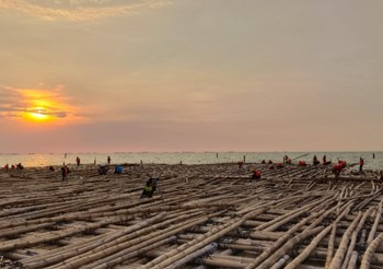 Jalan Tol Di Atas Laut Ini Pakai Pondasi Matras Bambu
