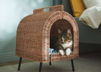 Perabot dan Perkakas Ini Dibuat Berdasarkan Kebiasaan Kucing di Rumah