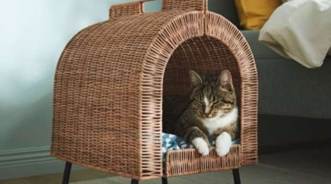 Perabot dan Perkakas Ini Dibuat Berdasarkan Kebiasaan Kucing di Rumah