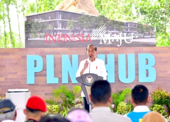 Dua Hari di IKN, Presiden Sibuk Ground Breaking 11 Proyek