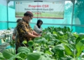 Bank DKI Raih Penghargaan Anugerah ESG 2024 IDX Channel