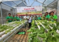 Bank DKI Resmikan Kebun Hidroponik RPTRA Cibubur