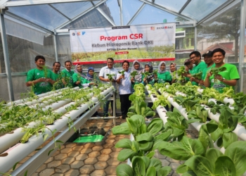 Bank DKI Resmikan Kebun Hidroponik RPTRA Cibubur