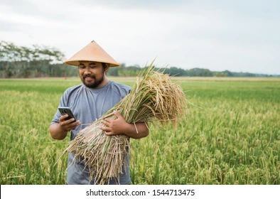 Daya Beli Petani Tetap Meningkat Kendati Harga Gabah Turun