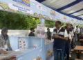 FIFestival Street Food 2024 Hadirkan Keragaman Kuliner Indonesia dari 25 UMKM