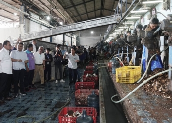 Ekspor Royal Coconut Capai US$16,72 Juta, Mendag Siapkan Perluasan Akses Pasar dan Perlindungan Dalam Negeri