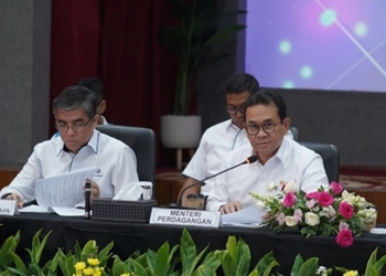 Paket Kebijakan Ekonomi untuk Kesejahteraan, Pemerintah Beri Insentif Terhadap Tiga Komoditas Bapok