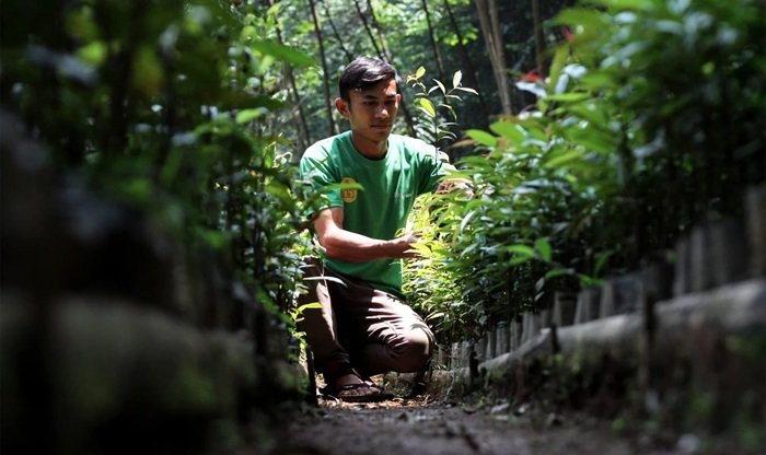 Perjalanan Hendrik bermula dari Program Pepeling (Pesantren Peduli Lingkungan) yang diinisiasi oleh PT Aneka Tambang Tbk (ANTAM), anggota Grup MIND ID. Foto: MIND ID