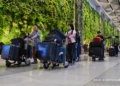 Menurun Arus Mudik Nataru 2024/2025, Kecuali dengan Pesawat Terbang