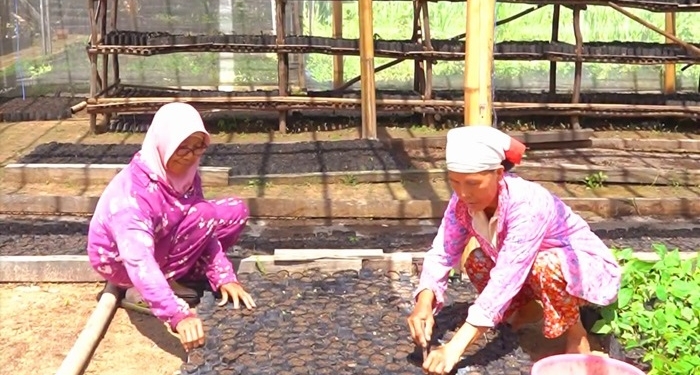 UMK Binaan Grup MIND ID Sukses Hadirkan Metode Otomasi pada Pertanian Muara Enim