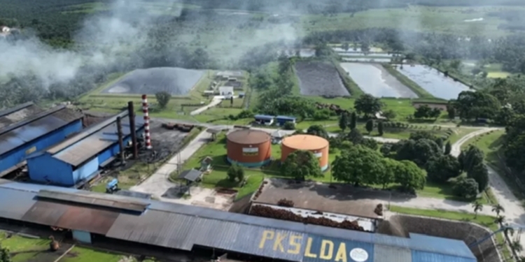 PTPN IV Regional III Raih Sertifikat RSPO 100% di Seluruh Wilayah Operasionalnya