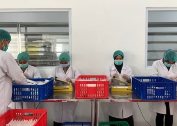 BNI Xpora Dukung Produsen Tempe Asal Bogor Tembus Ekspor ke 10 Negara