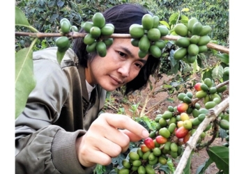 BNI Jejak Kopi Khatulistiwa Dukung Kopi Garut Swasembada Pangan dan Go Global