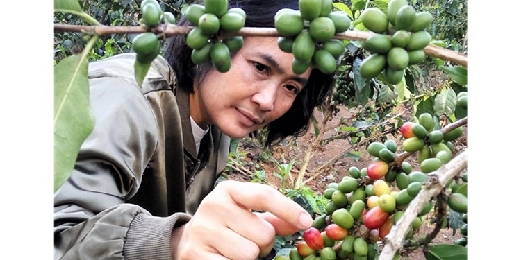 BNI Jejak Kopi Khatulistiwa Dukung Kopi Garut Swasembada Pangan dan Go Global