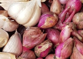Harga Pangan Bergolak: Bawang Merah Melonjak, Minyak Goreng Sentuh Rp22.450/Liter!