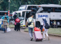 Mudik Gratis 2025, DAMRI: Demi Perayaan Lebaran yang Nyaman dan Aman, Kami Dukung 