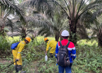 Elnusa Sukses Selesaikan Survei Seismik 3D Lisaman, Dukung Ketahanan Energi Nasional