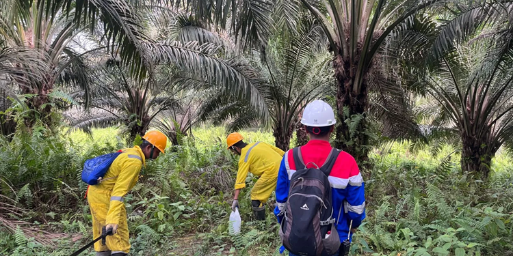 Elnusa Sukses Selesaikan Survei Seismik 3D Lisaman, Dukung Ketahanan Energi Nasional