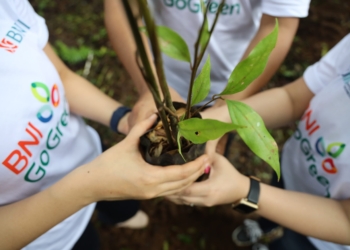 BNI Jadi Satu-satunya Bank Asal Indonesia Peraih Asia Sustainability Reporting Awards 2024