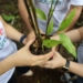 BNI Jadi Satu-satunya Bank Asal Indonesia Peraih Asia Sustainability Reporting Awards 2024