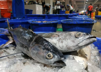Perikanan Indonesia Amankan Pasokan Ikan Jelang Lebaran 2025, Ini Strateginya