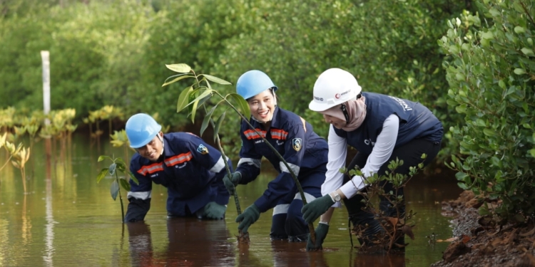 Konsisten Dukung NZE, Grup MIND ID Tanam 126.000 Mangrove