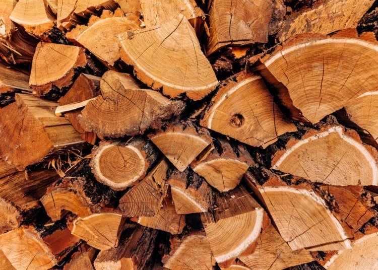 Jepang mengembangkan bahan bakar alternatif dari kayu dan kertas untuk kendaraan ramah lingkungan. (Foto: Pexels)