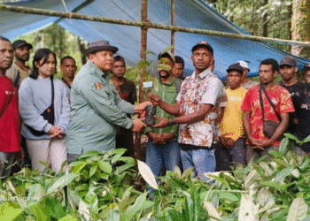 BNI dan Disbun Fakfak Realisasikan Program Pala Unggul